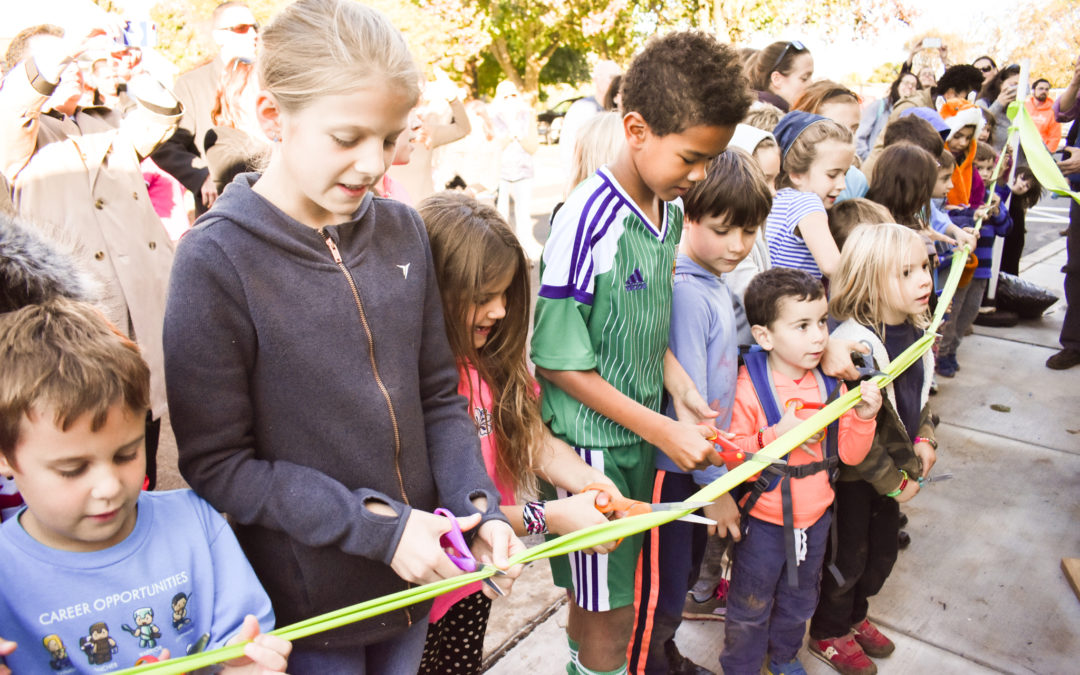 November 2017 Capital Project Update