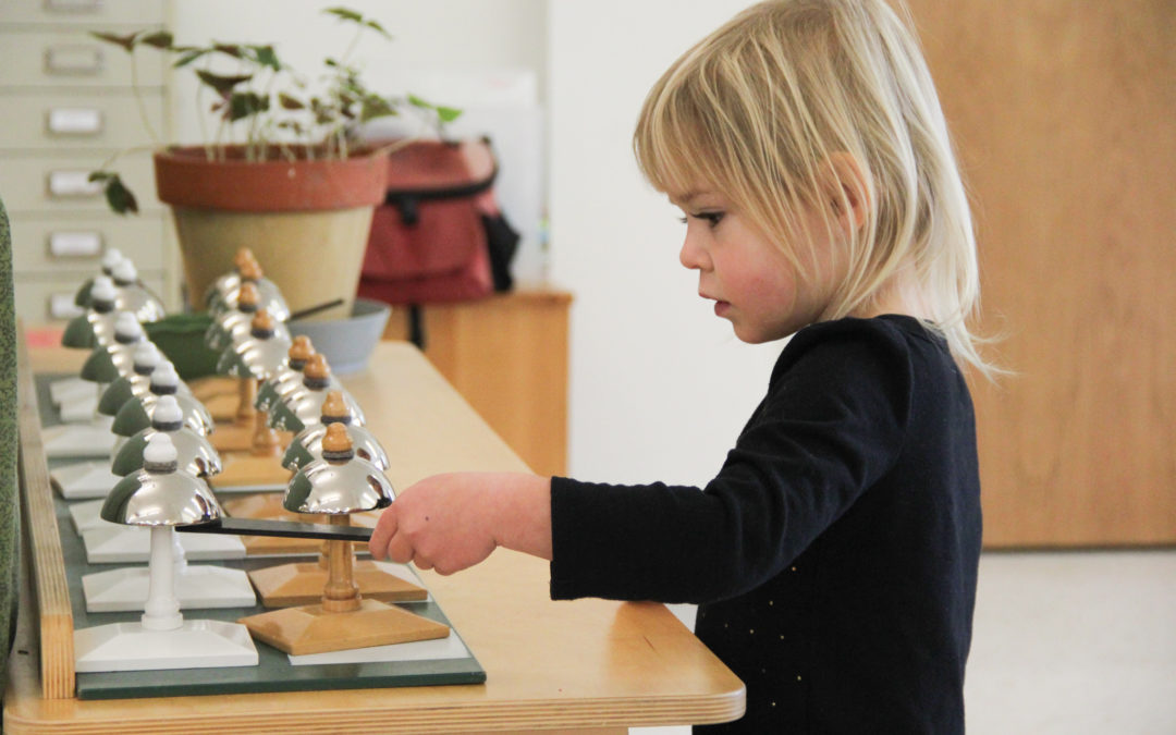 The Art of Concentration