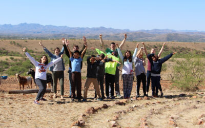 The Adolescent and the Land