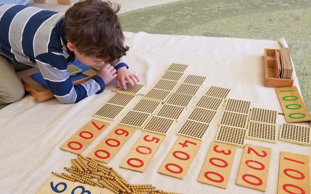 How do Montessori Materials Spark a Love of Mathematics?