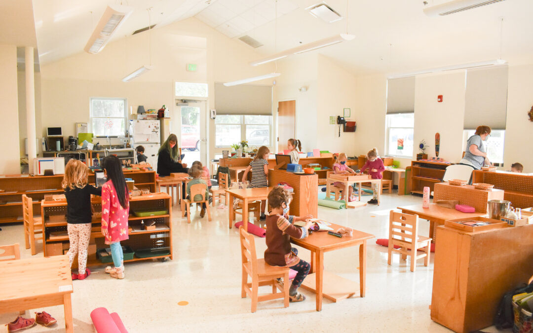 Before and After Video of our Capital Project