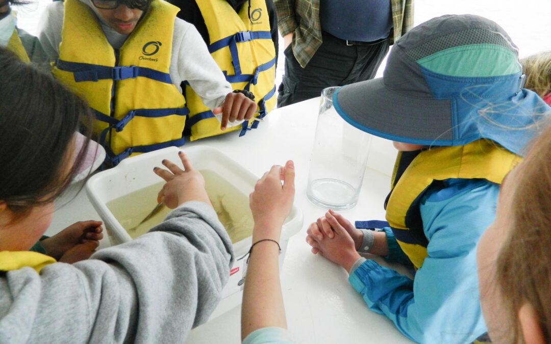 Upper Elementary Outdoor Exploration at Echo Hill Outdoor School