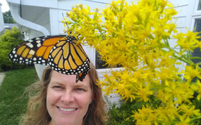 Dual Language Learning about Monarch Migrations with Journey North