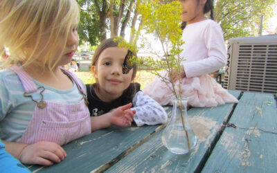Learning about Monarch Butterflies in our Dual Language Classrooms