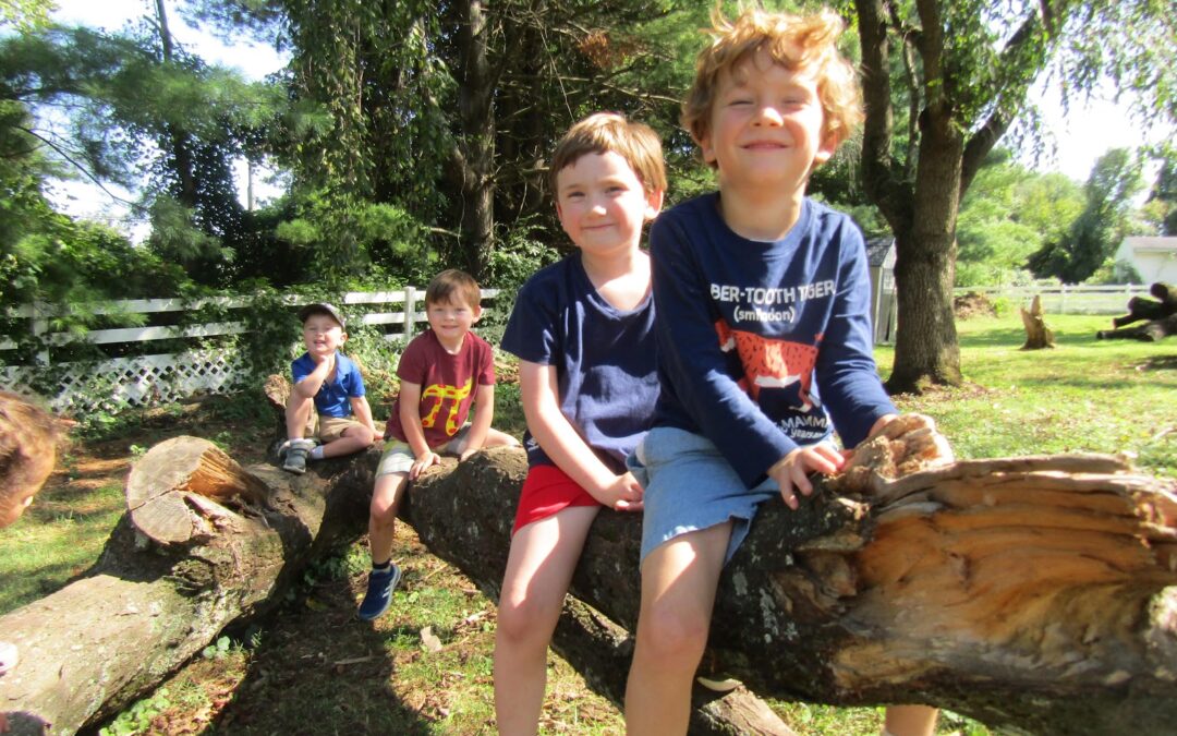 Every School Year Begins with the Process of Normalization