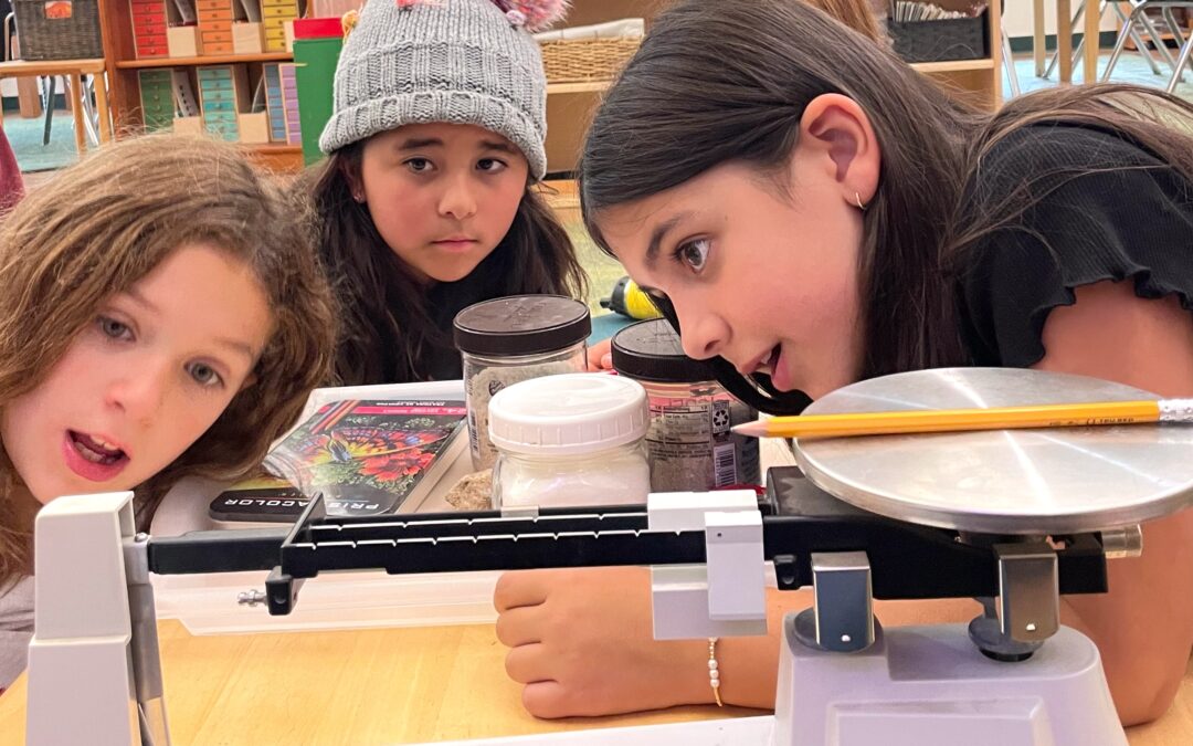 What Makes Montessori Elementary Different?