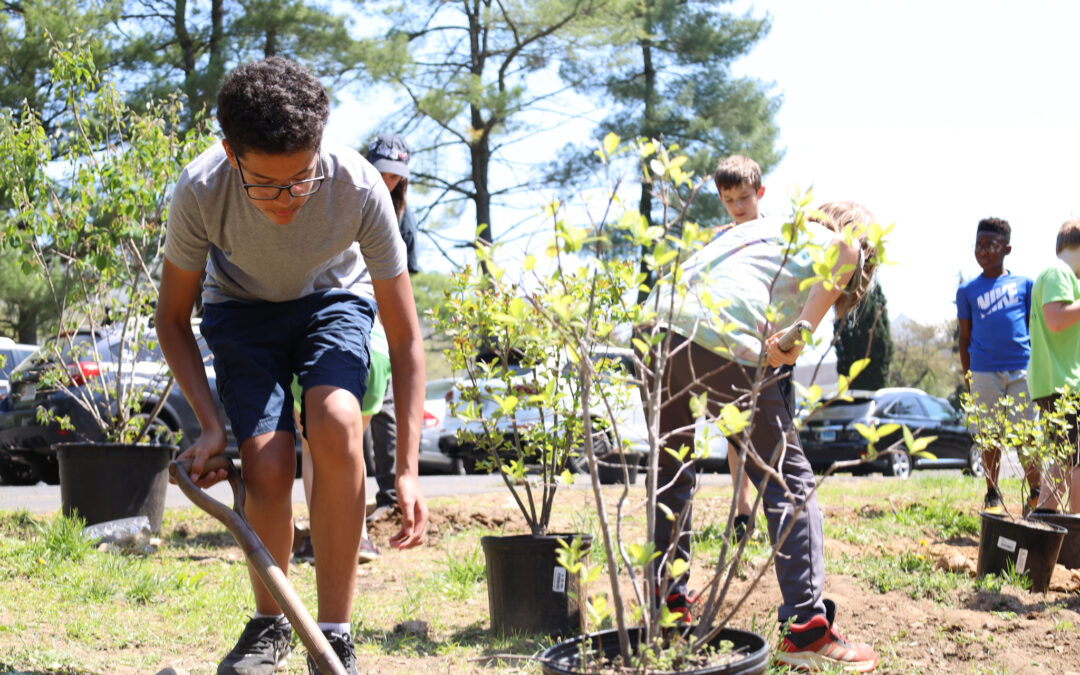 Earth Day Celebrations at Greenspring
