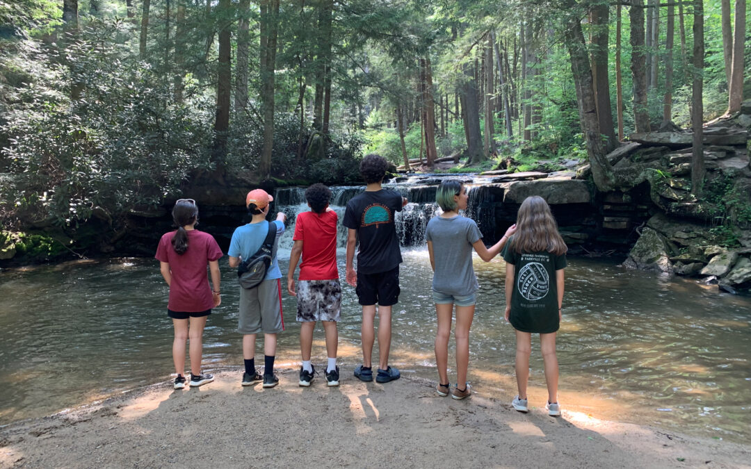 Becoming a Green School