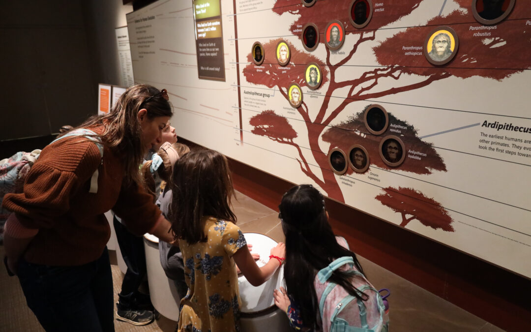 Lower Elementary Children Explore Natural History Through Going Outs