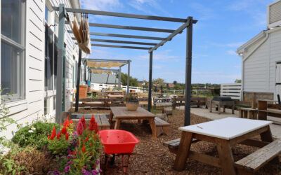 Fall in our Outdoor Environments