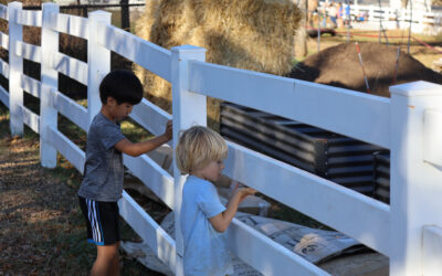 Grounds Day Fall 2024