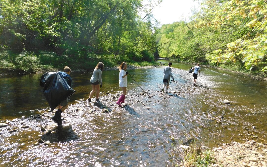 Children as Changemakers