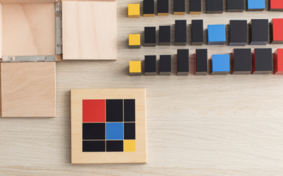 The Skills That Will Matter Most: How Montessori Classrooms Support Executive Functioning