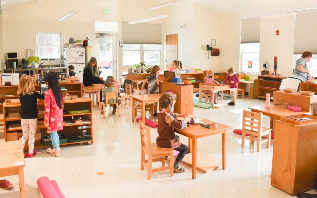Why Intrinsic Motivation Matters—and How Montessori Supports It